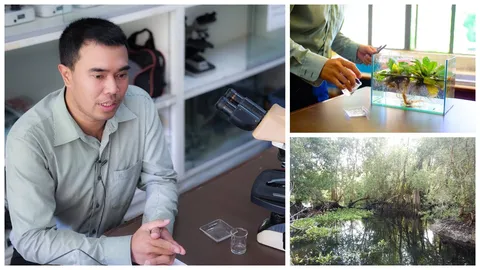 นักวิจัยไทย ค้นพบแพลงก์ตอนสัตว์ 2 สายพันธุ์ใหม่ของโลกในป่าพรุภูเก็ต-กระบี่