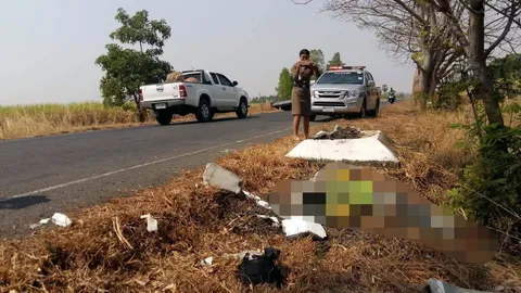 หนุ่มสุรินทร์ถึงฆาต ขี่ จยย.หลับใน พุ่งอัดหลักกิโลกระจุย คอหักตายคาที่