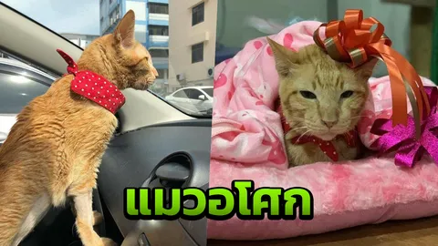 แฟนคลับทูนหัวของบ่าวเศร้าส่ง "เฮียอโศก" ไปสวรรค์เคียงคู่ "แม่มะลิ"