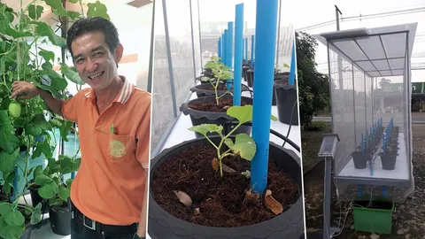 โรงเรือนมินิพลังแสงอาทิตย์ ทำเองได้ 8,000 บาท