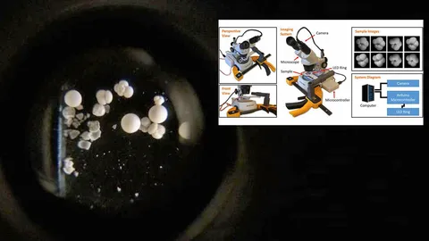 ใช้ปัญญาประดิษฐ์ช่วยระบุสิ่งมีชีวิตทางทะเล