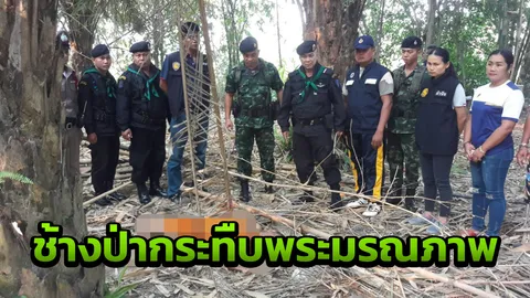 พระไม่รอด ออกธุดงค์เจอช้างป่ากระทืบ มรณภาพสยองคาป่าปาล์มที่ท่าตะเกียบ