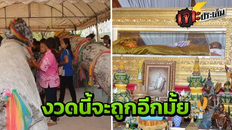 "เดินหลงทางในวัด" ฝันสยอง มองเห็นเลขเด็ดโผล่ต้นตะเคียนวัดดังศรีสะเกษ