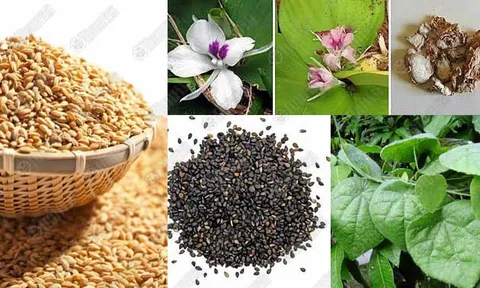 เคล็ดลับหน้าใส  จากภูมิปัญญาไทย