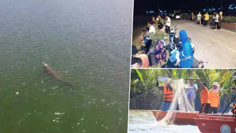 แห่ลุ้น"ไกรทอง" จับจระเข้แม่น้ำบางนรา 2 วัน ยังคว้าน้ำเหลว  