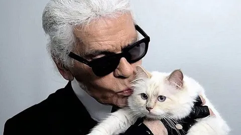 เปิดทำเนียบ หมา แมว ไก่ รวยสุดในโลก