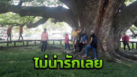 ตะโกนบอกยังเฉย ฉะกลุ่มคนเหยียบ-ยืนพิงต้นจามจุรียักษ์ เพียงแค่อยากถ่ายรูป