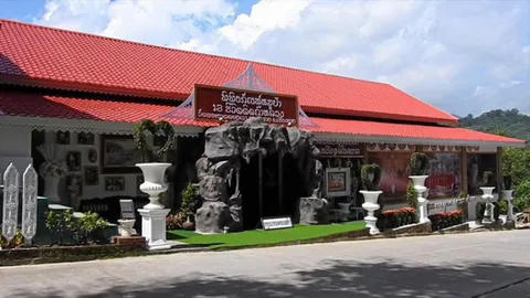เยี่ยมพิพิธภัณฑ์ "หมูป่า" วัดพระธาตุ "ดอยเวา"