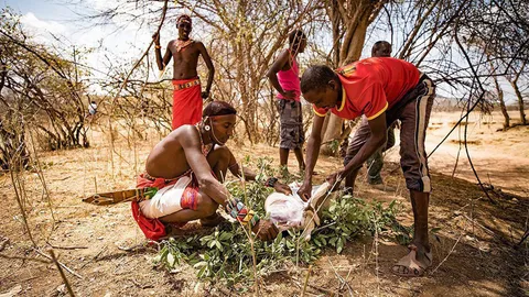 สารคดี-ดีดี