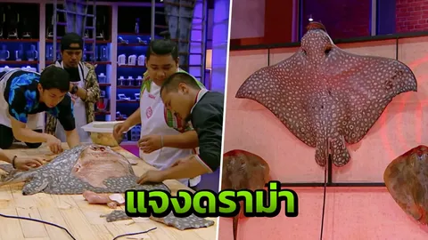 ไม่ใช่กระเบนนก มาสเตอร์เชฟ ยันไม่มีนโยบายใช้วัตถุดิบจากสัตว์ต้องห้าม