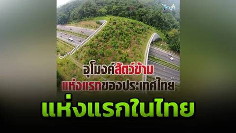 อุโมงค์แรกในไทย คนใช้สัญจร สัตว์ป่าใช้ข้าม เชื่อมเขาใหญ่-ทับลาน