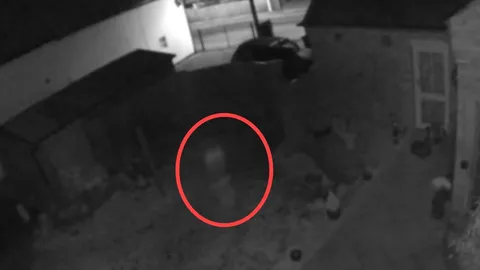 ครอบครัวชาวอังกฤษ ขนลุก ดูวงจรปิด เจอ ผีเด็ก วิ่งเล่นในสวนหลังบ้าน (คลิป)