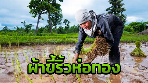 ชาวนาไทย 2019 ไม่พูดว่ารวย แต่มีเงิน ใช้สมาร์ทโฟน เล่นเน็ตหาความรู้
