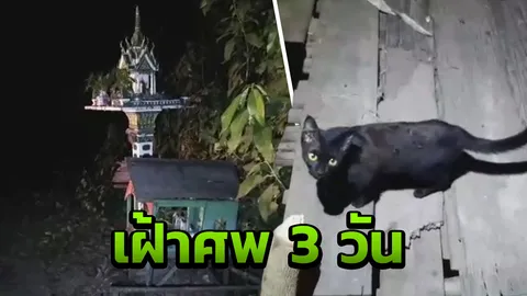 เฮี้ยน วิญญาณหนุ่มเข้าฝันสาวพม่า ชี้จุดตาย 2 คืนติด พบ แมวดำ คอยเฝ้าศพ