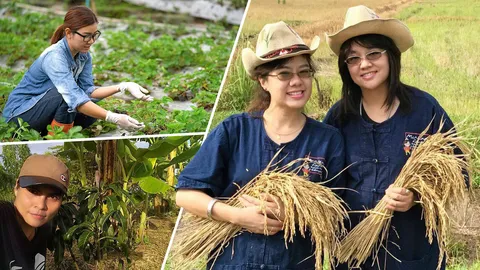 ภัยธรรมชาติซ้ำเติมชีวิตเกษตรไทย มุมมอง "สมาร์ทฟาร์มเมอร์" คนรุ่นใหม่แก้ภัยแล้ง