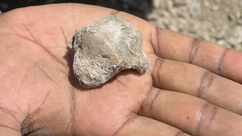 ต้นกำเนิดลักษณะการเดินของบรรพบุรุษมนุษย์