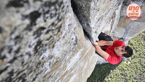 มาดูกับมาดาม: “Free Solo” สุดระทึก ปีนเขามือเปล่า