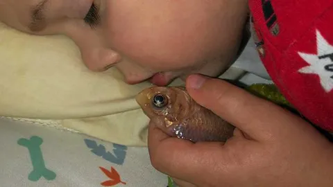 ไร้เดียงสาเป็นเหตุ