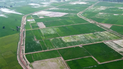 ที่ราชพัสดุ (2)