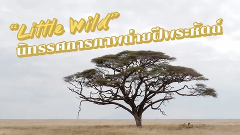 "Little Wild" นิทรรศการภาพถ่ายฝีพระหัตถ์ "พระองค์หญิงสิริวัณณวรีฯ"