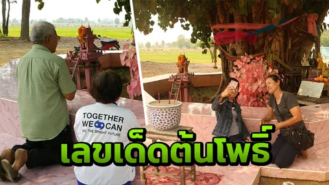 นักท่องเที่ยวแวะดู "ต้นโพธิ์ใบสีชมพู" คนตาดียิ้มเล็กๆ ได้เลขเสี่ยงโชค (คลิป)