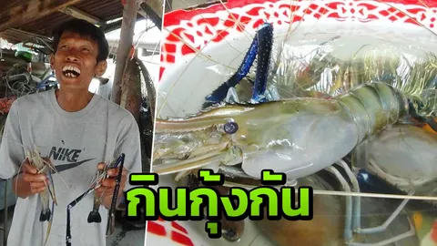 แห่จับกุ้งปล่อย กรมประมง "ก้ามกราม" โลละ 800 รสชาติอร่อย