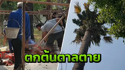 หนุ่มเมืองคอนฯขอซื้อลูกตาลจะไปทำขนม ขณะปีนต้นเกิดพลัดตกดับอนาถ