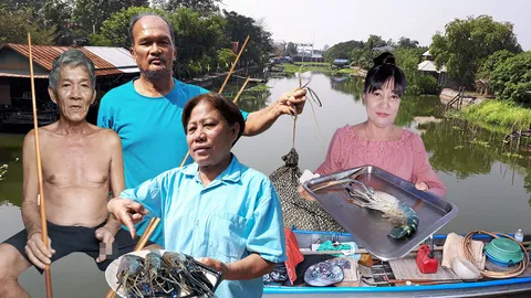 วิกฤติกุ้งแม่เจ้าพระยา โดนโรยยา..คนหาขาด