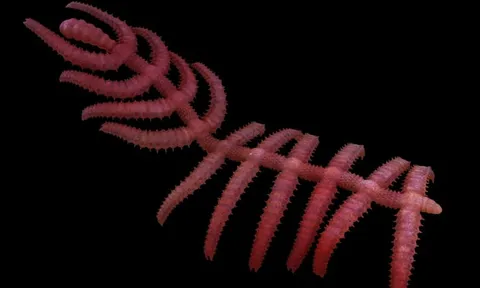 โลกาภิวัตน์ 28/02/54