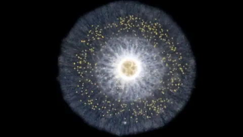 สัตว์ยุคแรกพัฒนาช้ากว่าที่คาดการณ์ไว้