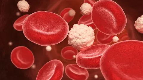 โลหิตอาจกลายเป็นกุญแจสำคัญในการฟื้นฟูตับ