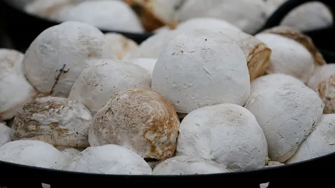 ชาวสวนยาง จ.จันทบุรี บ่นท้อแท้ หลังมีคนเข้ามาขโมยเก็บขี้ยางบ่อยมากเหลือเกิน