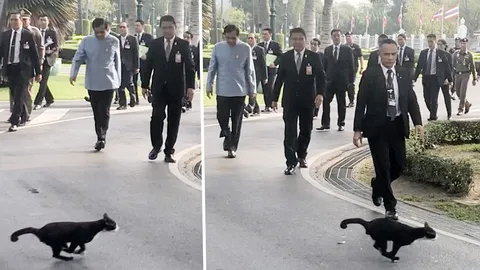 โดนปาดหน้า (คลิป)