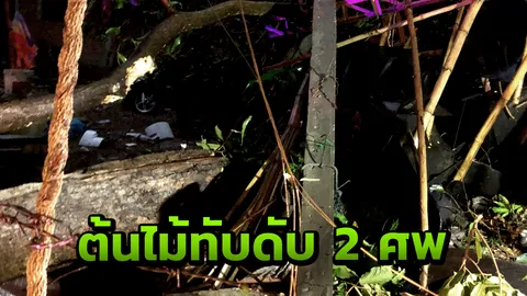 พายุฤดูร้อนซัดกาฬสินธุ์ ต้นยางนาโค่นทับชาย 2 คนหลบฝน หลังหักดับคู่