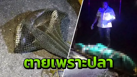 "เซียนไก่ชน"ลากไฟจะช็อตปลาที่หนอง เกิดลื่นไถลตกน้ำถูกไฟดูดดับสลด