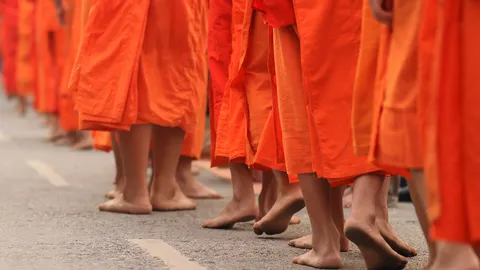 กิ่งไม้ในมือหลวงพ่อชา