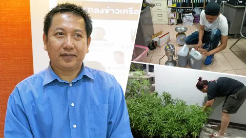 “ผอ.ชีววิถี” จวกแหลกตำรวจ จับกัญชามูลนิธิขวัญข้าว