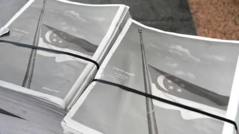 กังวลสิงคโปร์คุมข่าวลวง