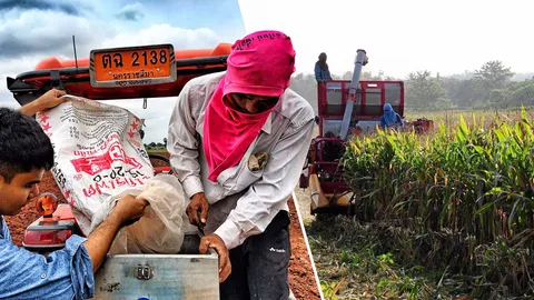 บัลลังก์..โมเดล ต้นแบบเกษตรเหมาะสม