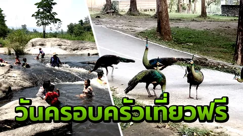 ชวนเที่ยว "แก่งลานนกยูง" อุทยานแห่งชาติแม่วงก์ ท่ามกลางธรรมชาติป่าสมบูรณ์