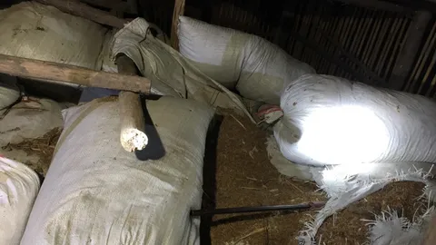 สลด! เพื่อนชวนไปยิงหนูนา ปืนเจ้ากรรมดันลั่นใส่ ถูกยอดอก ดับอนาถ