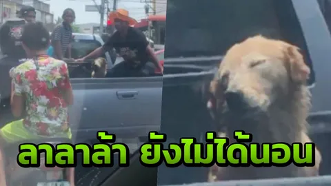 ยังไม่ได้นอน น้องหมานั่งท้ายกระบะเล่นสงกรานต์ โดนสาดหลับเฉยเลย (คลิป)