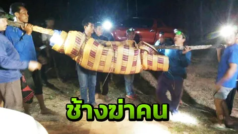 ช้างป่าภูวัวโหด เตะหนุ่มหาของป่ากะโหลกเปิด เขี่ยศพกลิ้งไปมา 