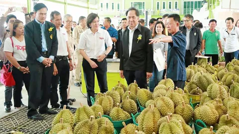 แผนบริหารจัดการผลไม้