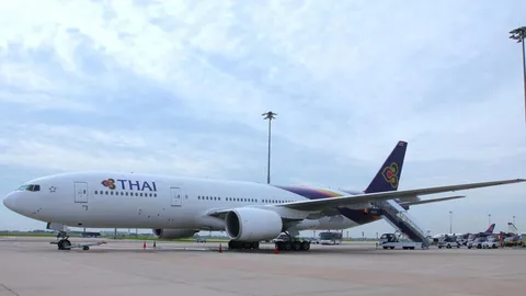 โบอิ้ง 777 การบินไทยชนนกที่เกาหลี วกกลับอินชอน ผู้โดยสารทุกคนปลอดภัย