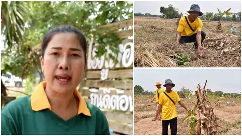สาวกาฬสินธุ์สู้ไม่ถอย แม้สวนเกษตรต้นแบบ พืชผลแห้งตายจากความร้อน