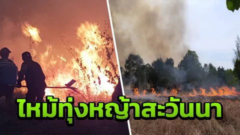 ไฟป่าเผาผลาญทุ่งหญ้าสะวันนา บนเกาะพระทอง เสียหายกว่าพันไร่