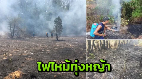 ไฟไหม้ทุ่งหญ้าเกาะพระทอง เผาวอดพันไร่ จนท.เร่งทำแนวกันไฟสกัดไม่ให้ลาม