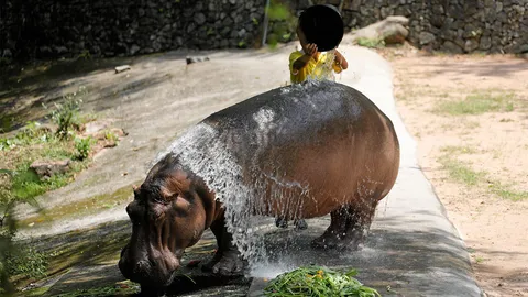 เยี่ยมแม่มะลิ