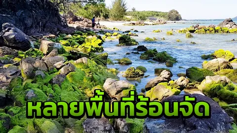 เตือนหลายพื้นที่อากาศร้อนจัด กทม.ยังเหมือนเดิม เพิ่มเติมคือ ฝน30%